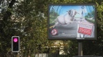 В наружной рекламе Алматы появились сюжеты о "пешеходах-баранах"